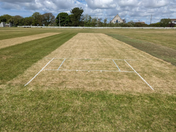 Cricket-1