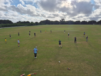 Cricket-2