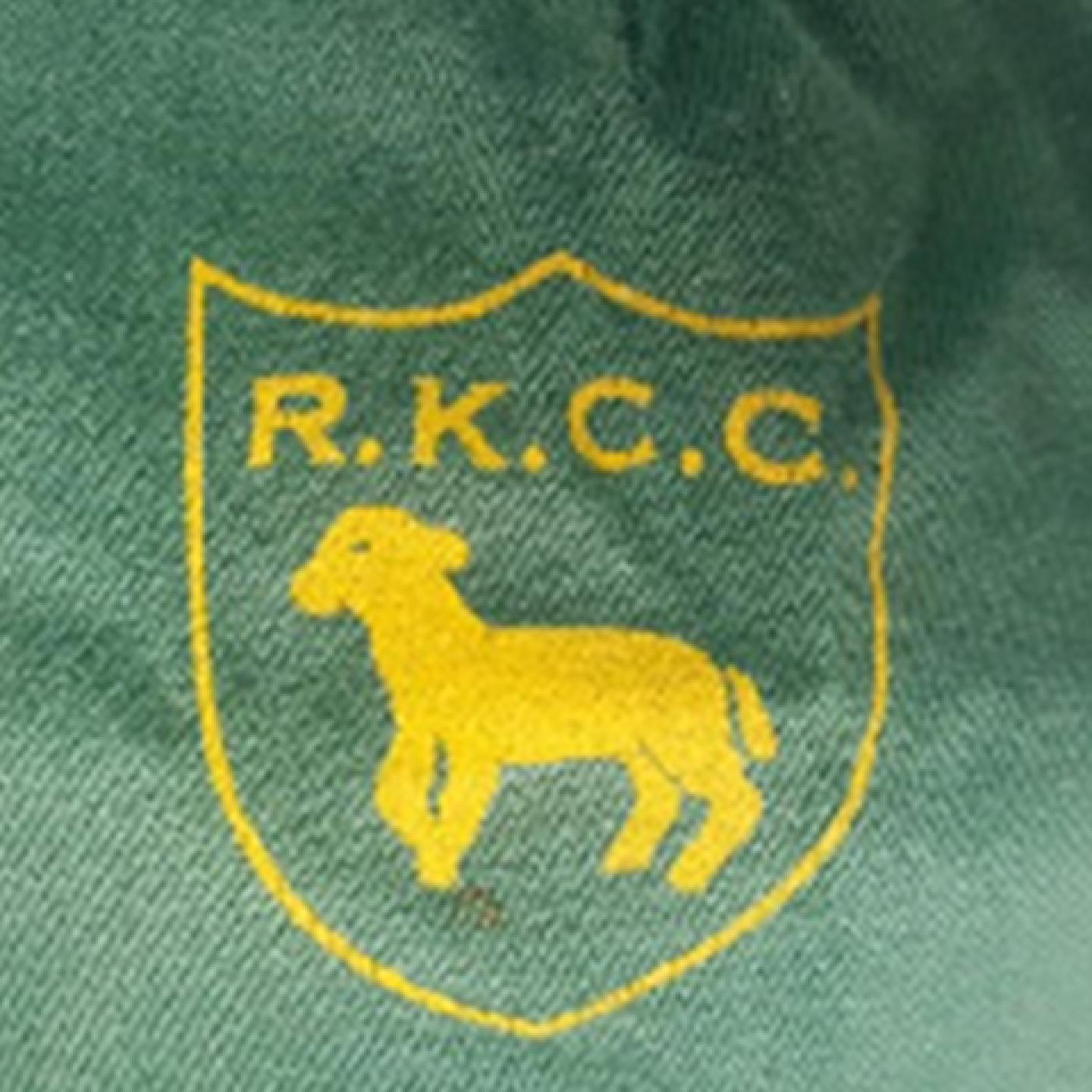 Cricket Club Logo